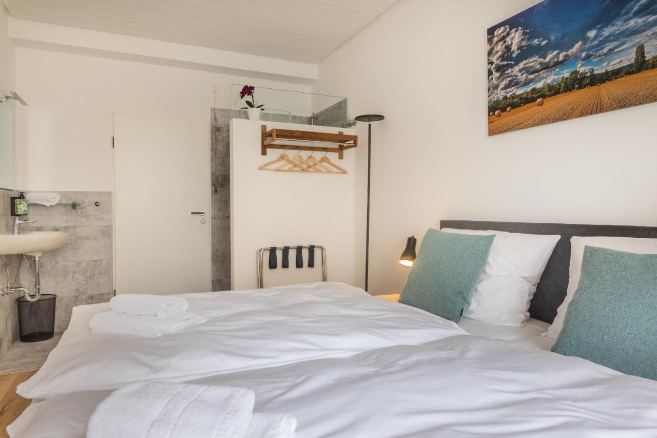 Hotel Clement - Bed & Breakfast Ingelheim am Rhein Εξωτερικό φωτογραφία