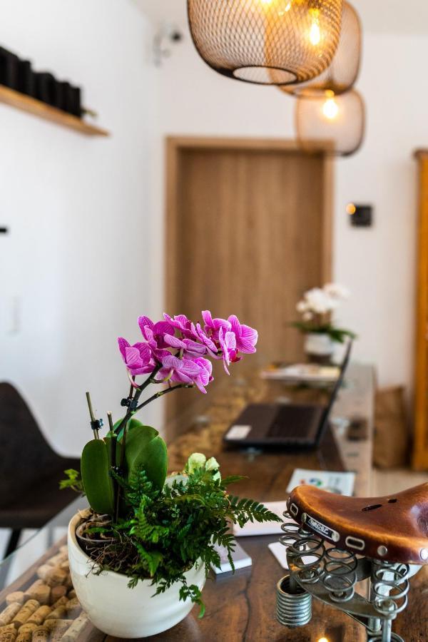 Hotel Clement - Bed & Breakfast Ingelheim am Rhein Εξωτερικό φωτογραφία